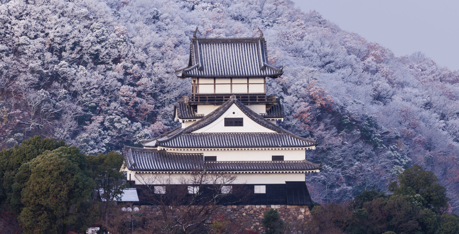 https://inuyama-castle.jp/assets/castle/img/home/movie.jpg?utm_source=chatgpt.com